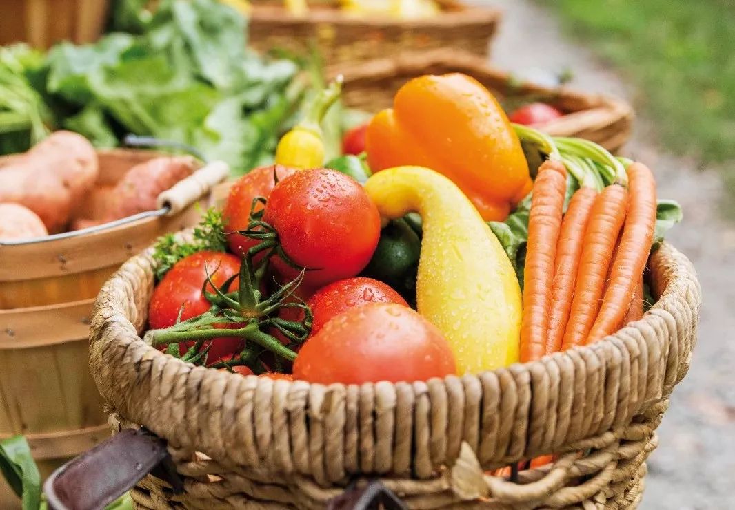 江蘇潤(rùn)豐——秋季吃什么